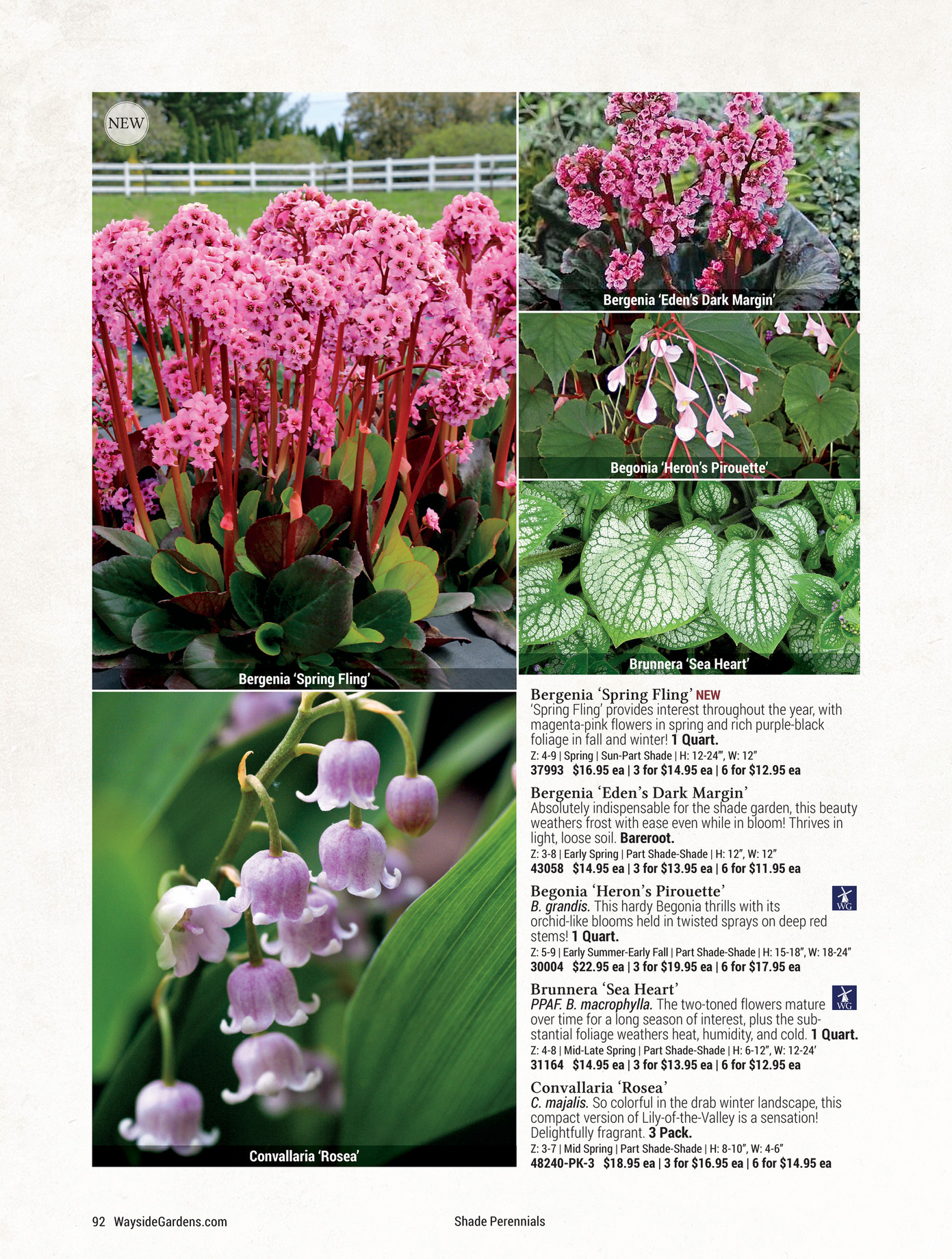 Demo Wayside Gardens Spring 2016 Page 92 93