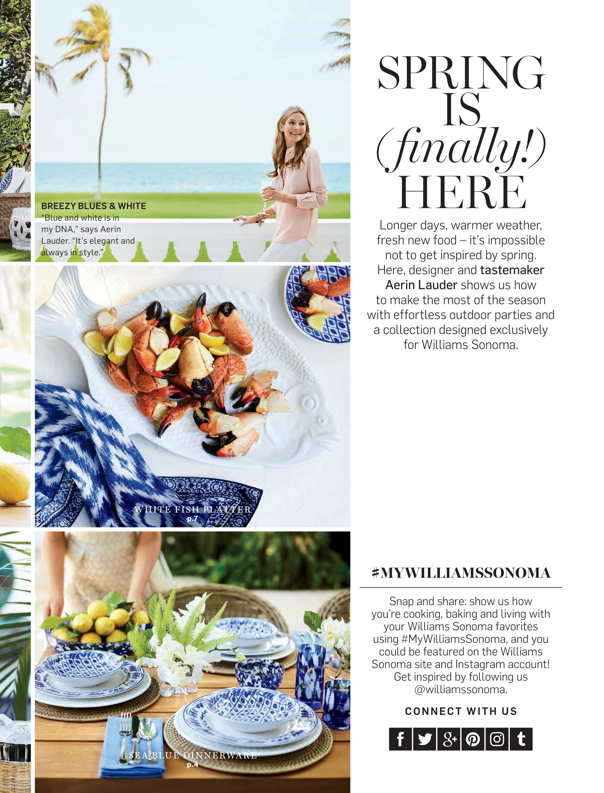 Williams Sonoma May 2017 Catalog AERIN White Leaf Condiment