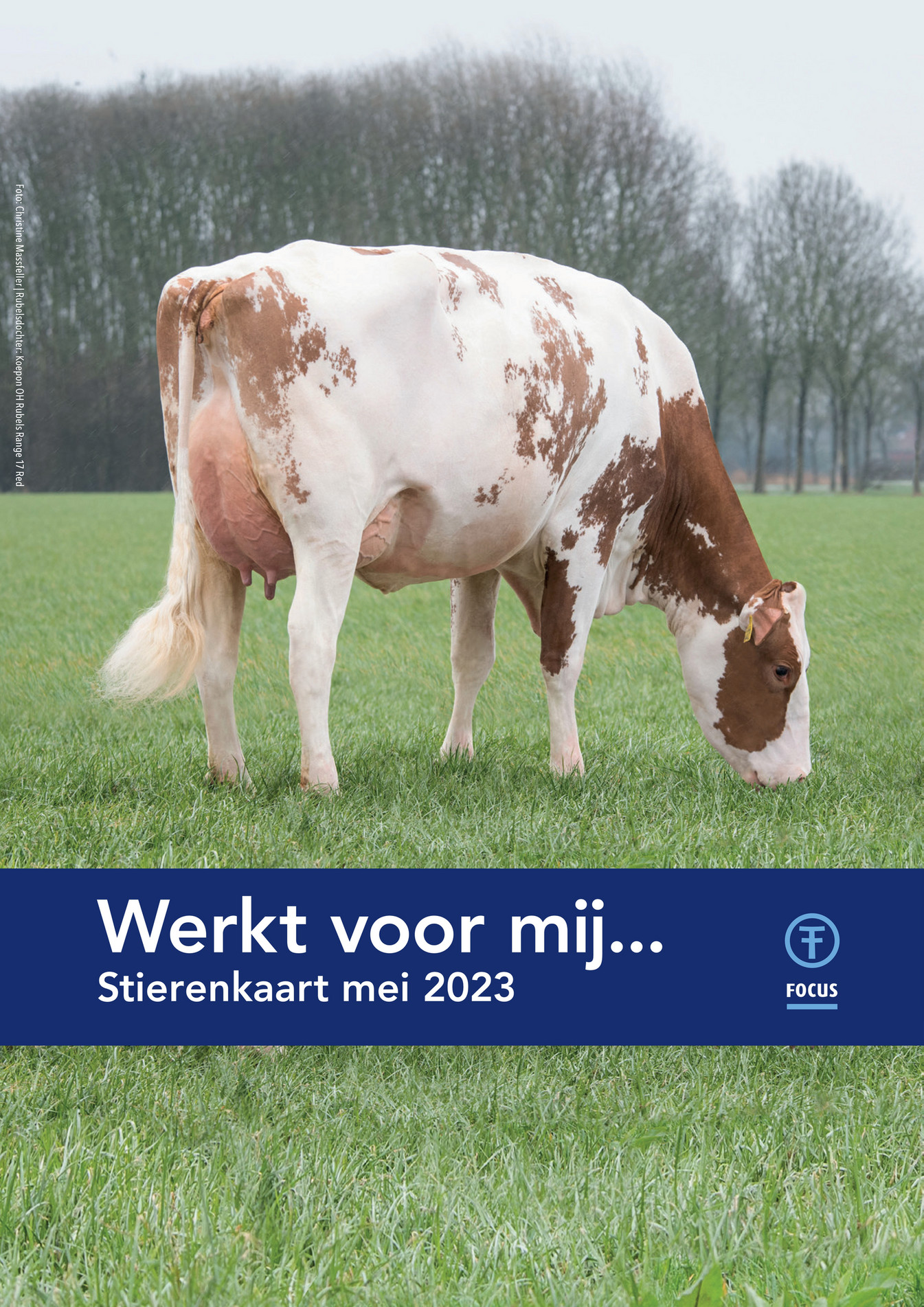 Ingenieursbureau Heemskerk TF Stierenkaart Zomer 2023 Print Plano