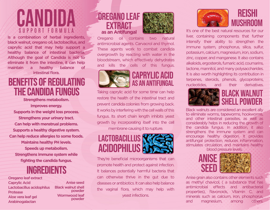 Hibody FLYER CANDIDA SUPPORT ENG Page 2 Created With Publitas