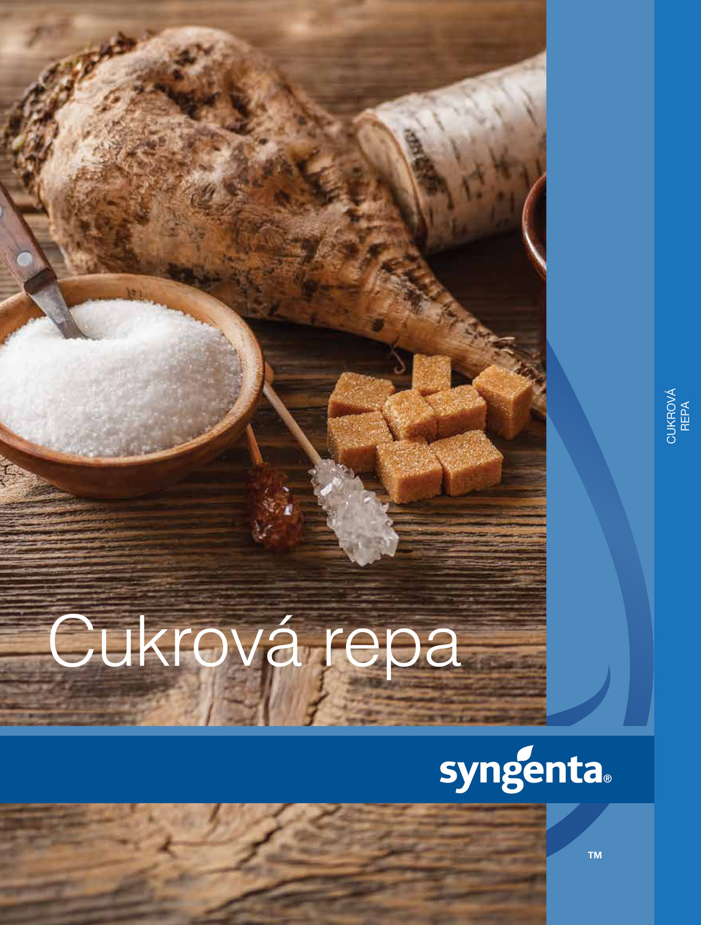 Syngenta Cukrov Repa Stana