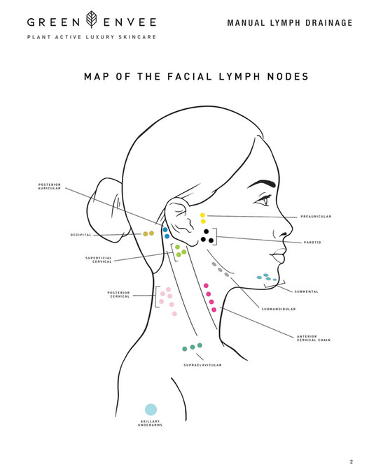 Green Envee Organics Manual Lymph Drainage Protocol Guide Page