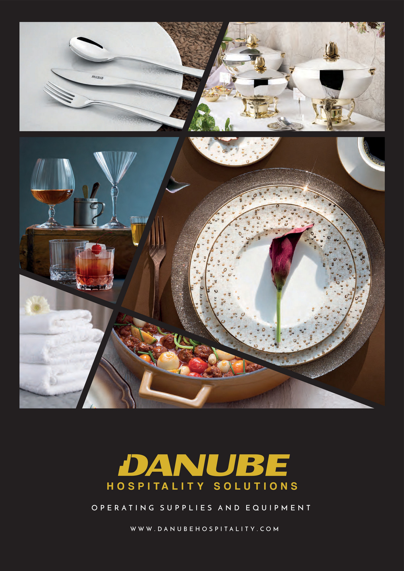 Danube Group DHS Master Catalogue Page 1