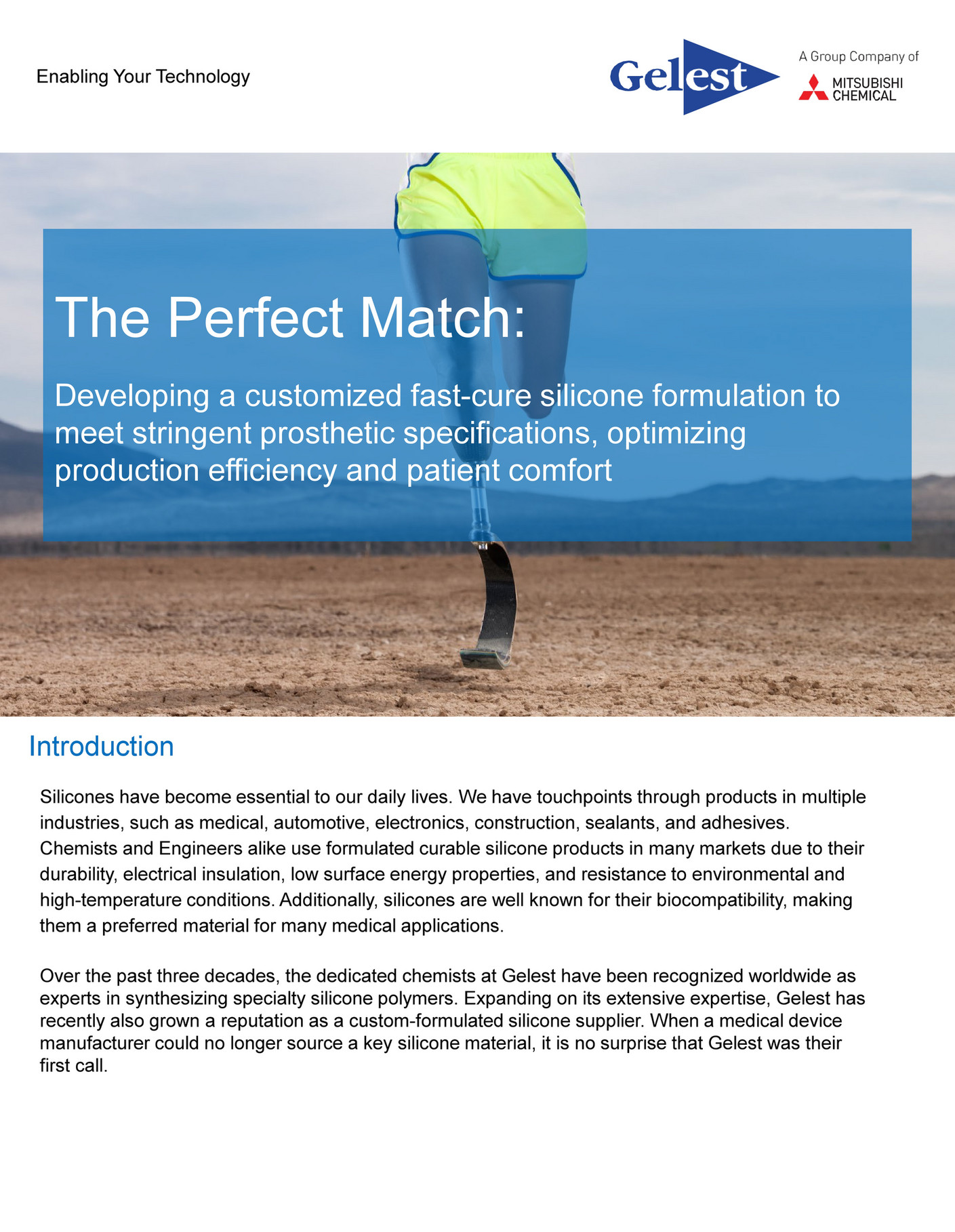 Mitsubishi Chemical America Gelest Case Study The Perfect Match