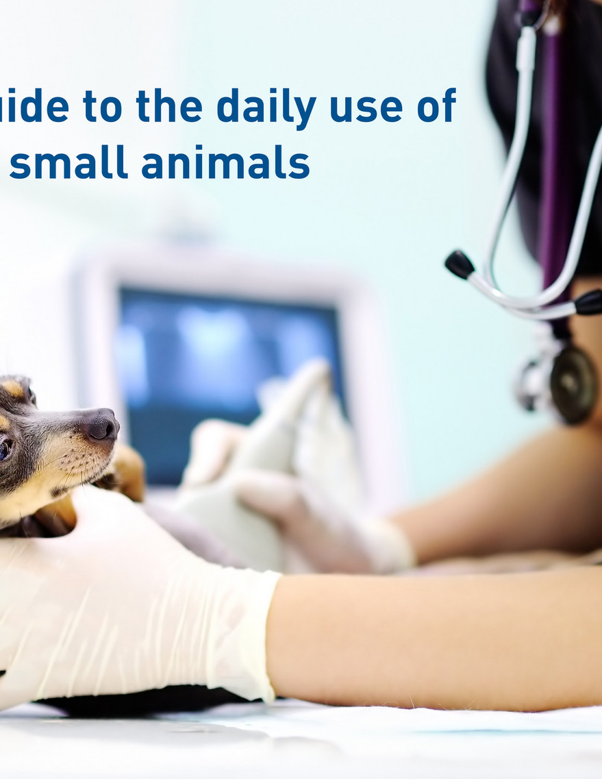 Scil Animal Care Company Scilful Vet Solutions Newsletter