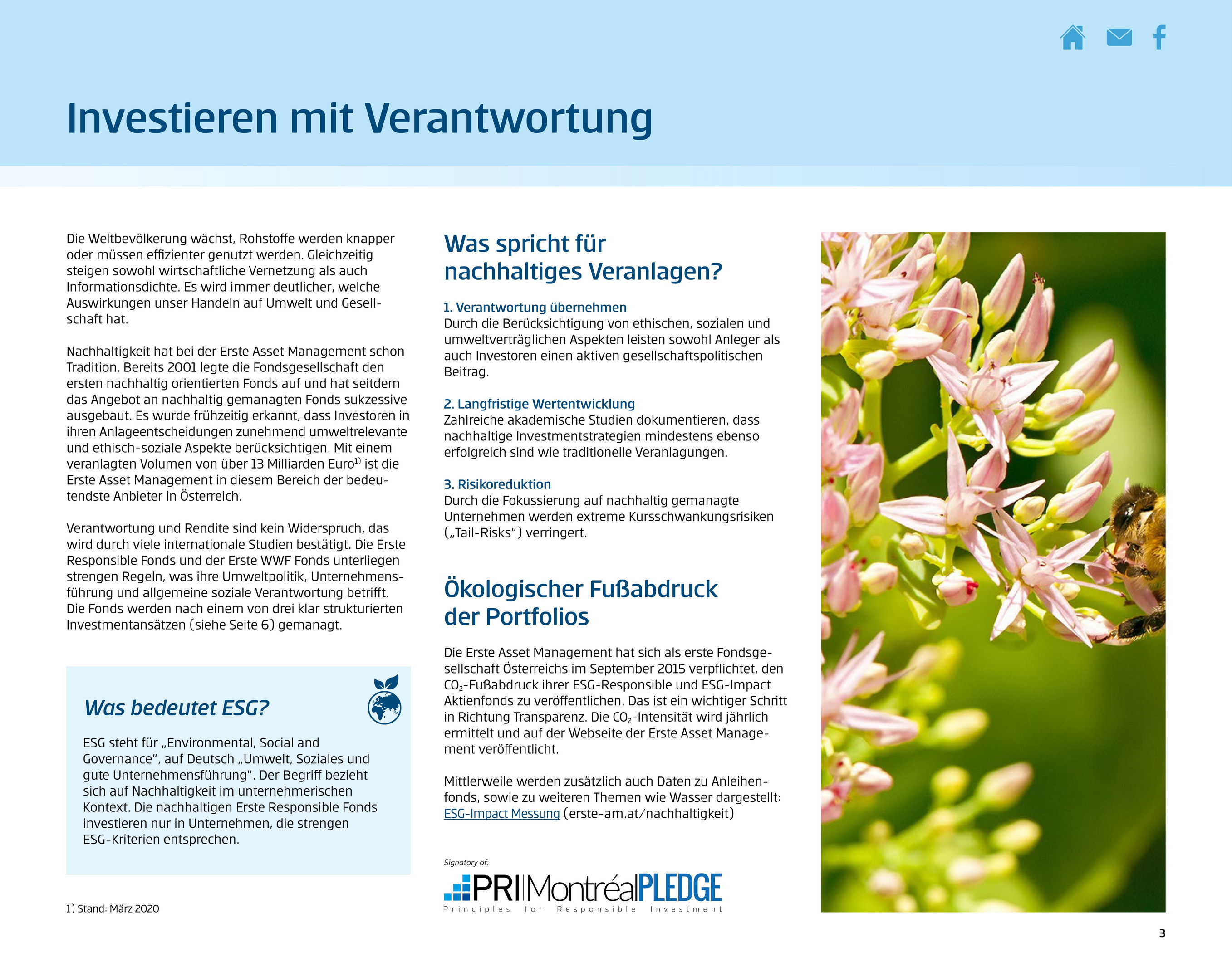 Efolder Nachhaltige Fonds Seite 1