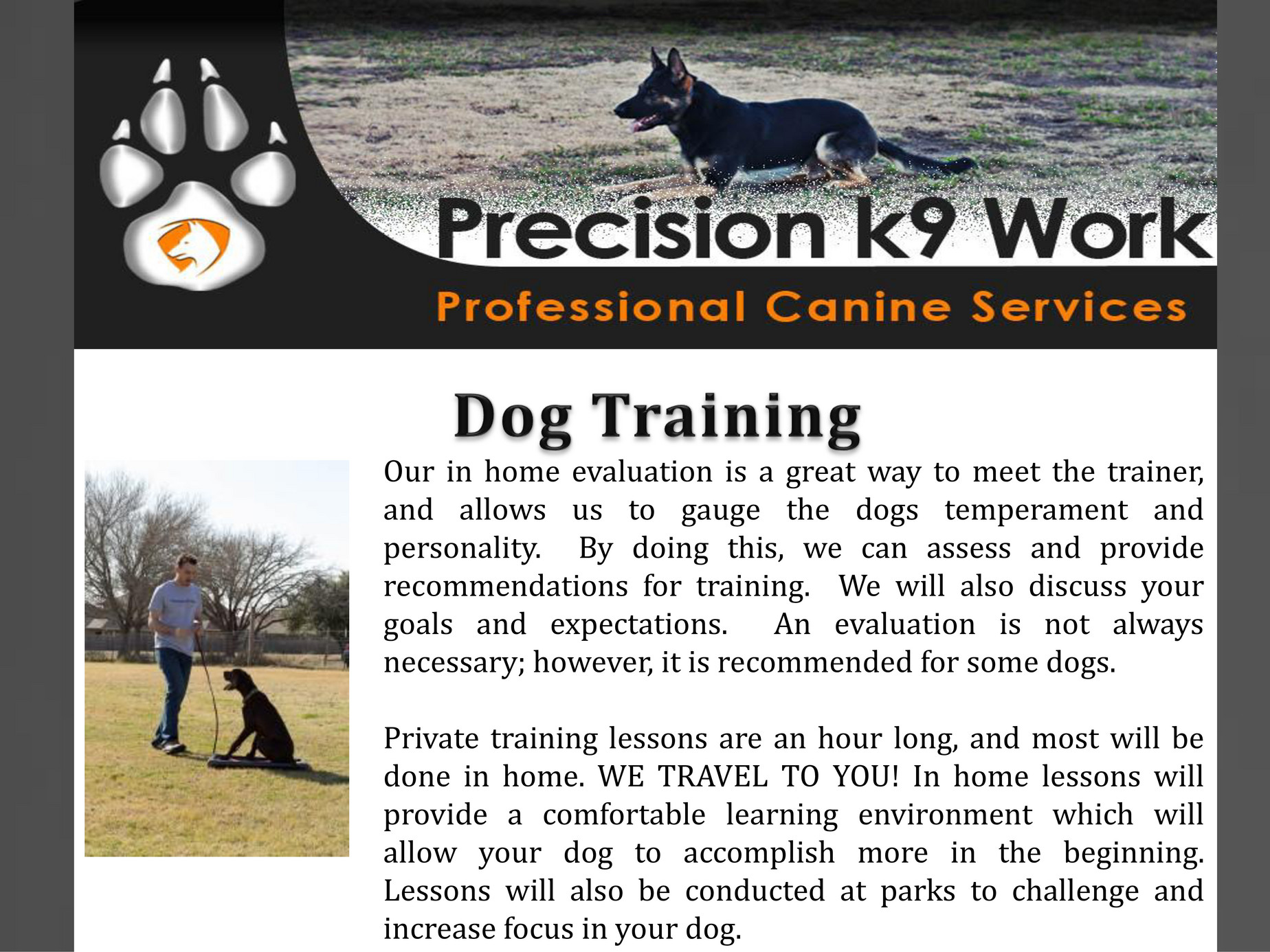 Precision best sale dog training