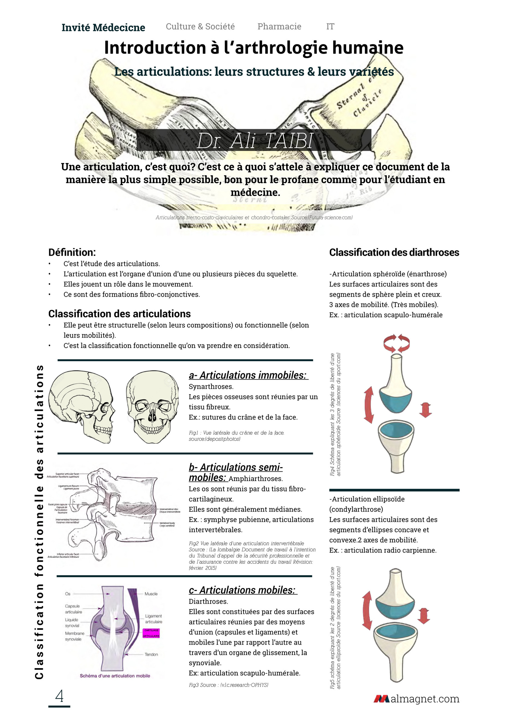 Squelette humain – v.l.c. research – OPHYS
