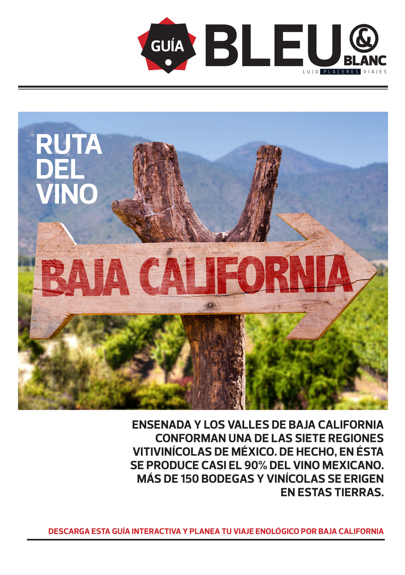Grupo Medios Guía ruta del vino