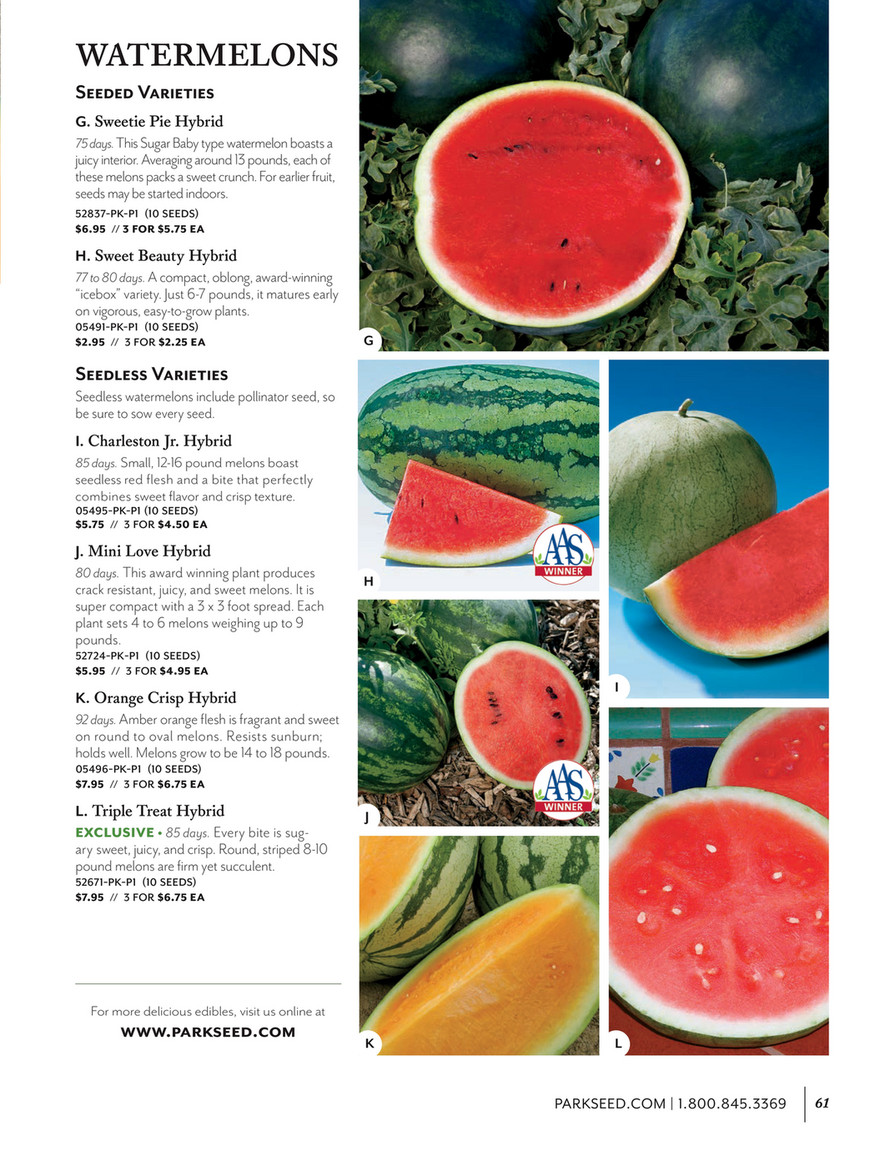 Park Seed Park Seed Annual Sweet Beauty Hybrid Watermelon Seeds