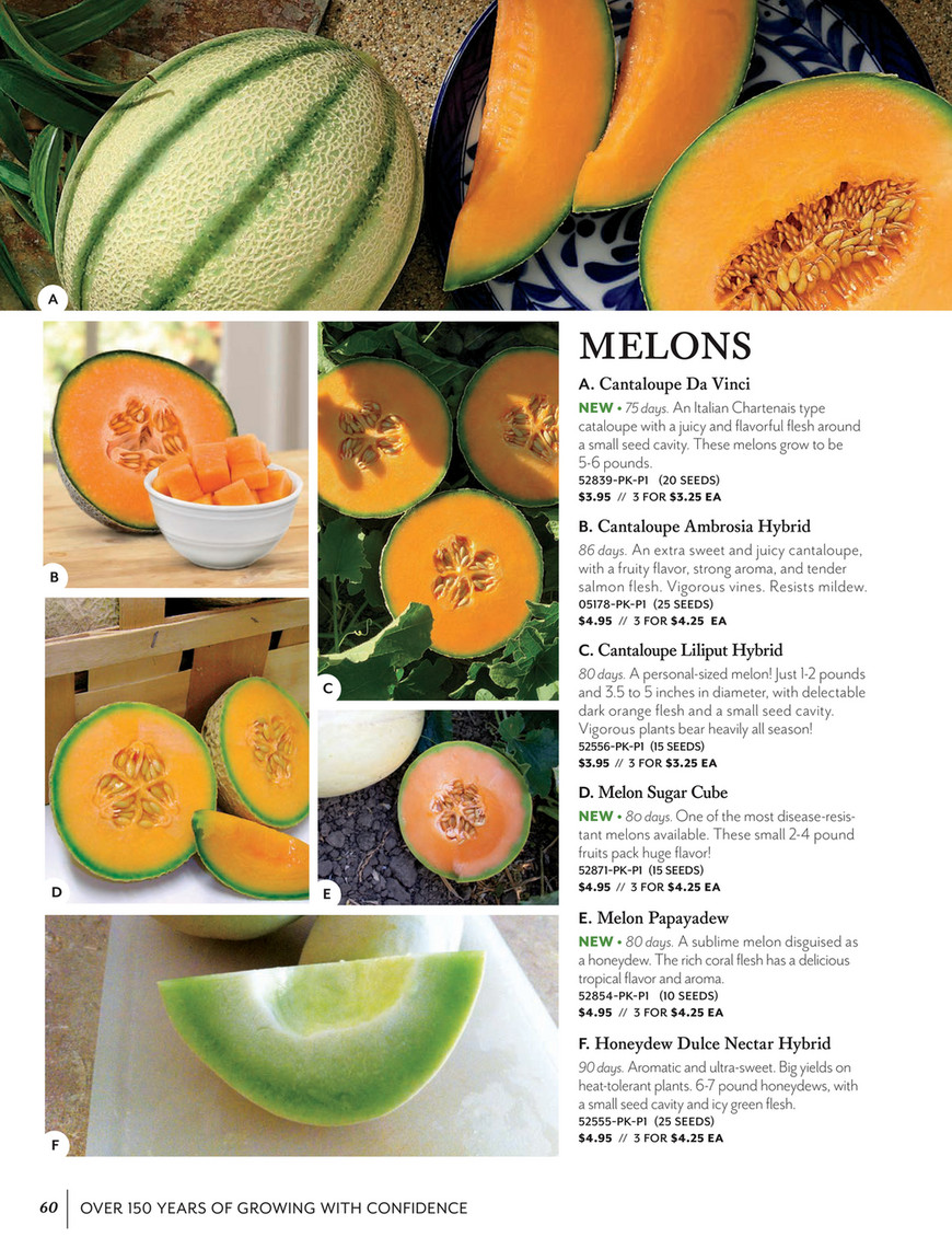 Park Seed Park Seed Annual Sweet Beauty Hybrid Watermelon Seeds