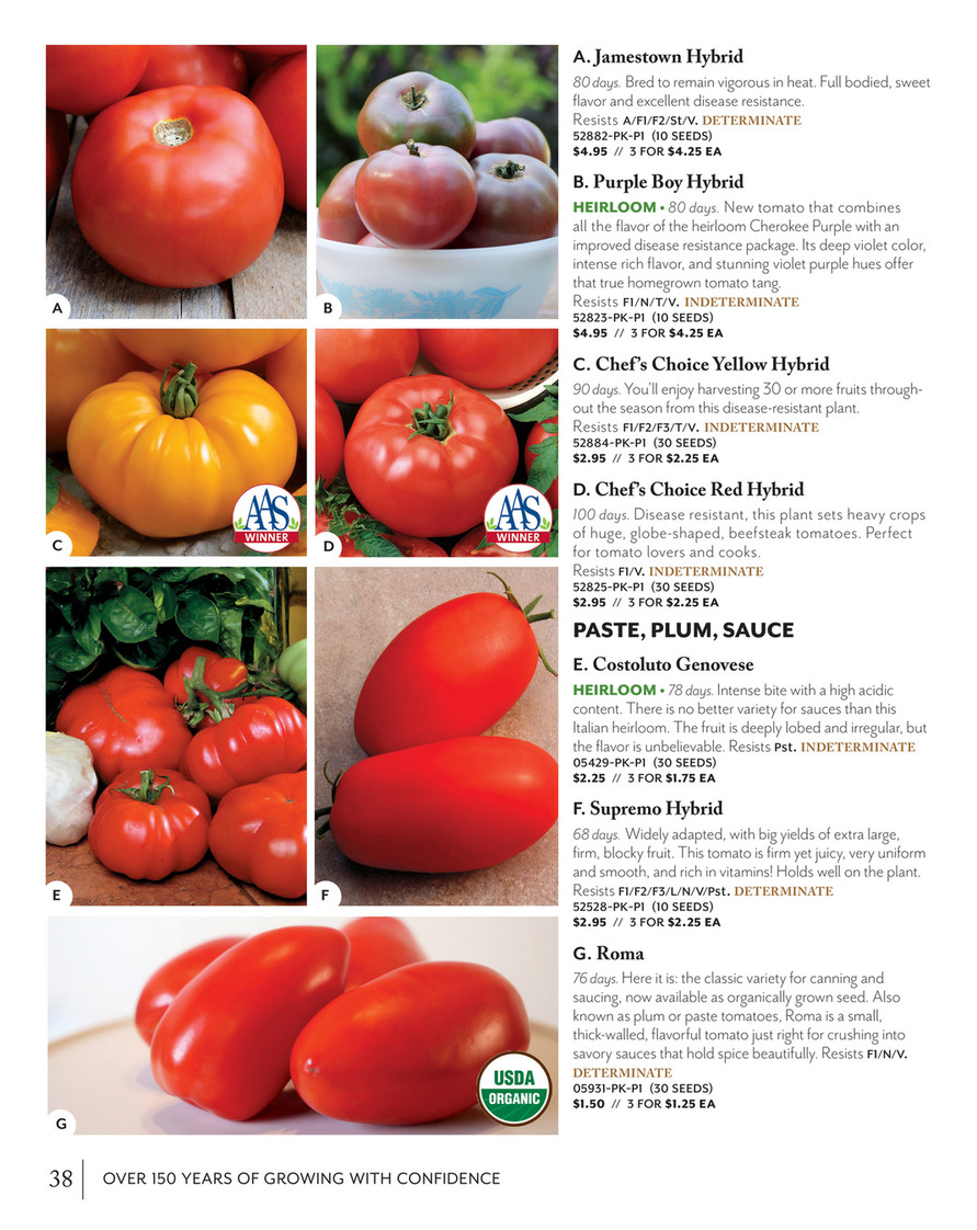 Park Seed Parkseed Big Seed 21 Supersweet 100 Hybrid Cherry Tomato Seeds