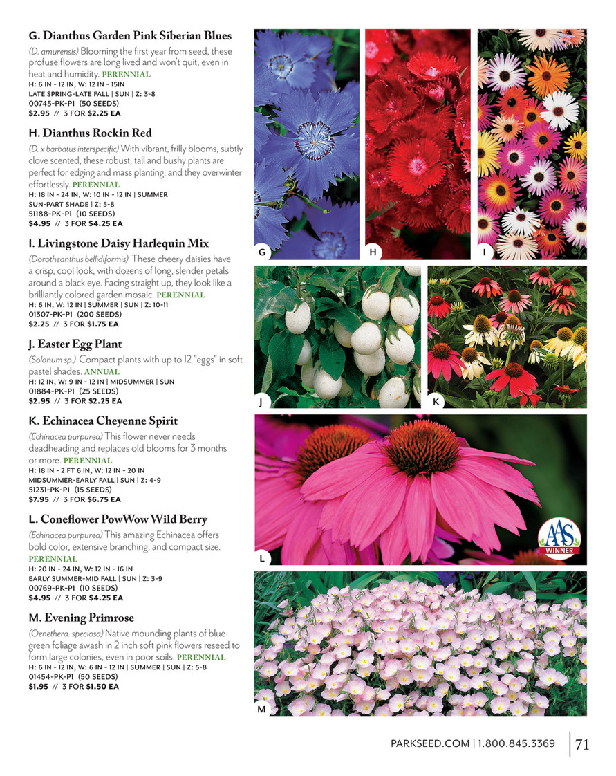 Park Seed Parkseed Big Seed 21 Tornado Trade Mix Geranium Seeds