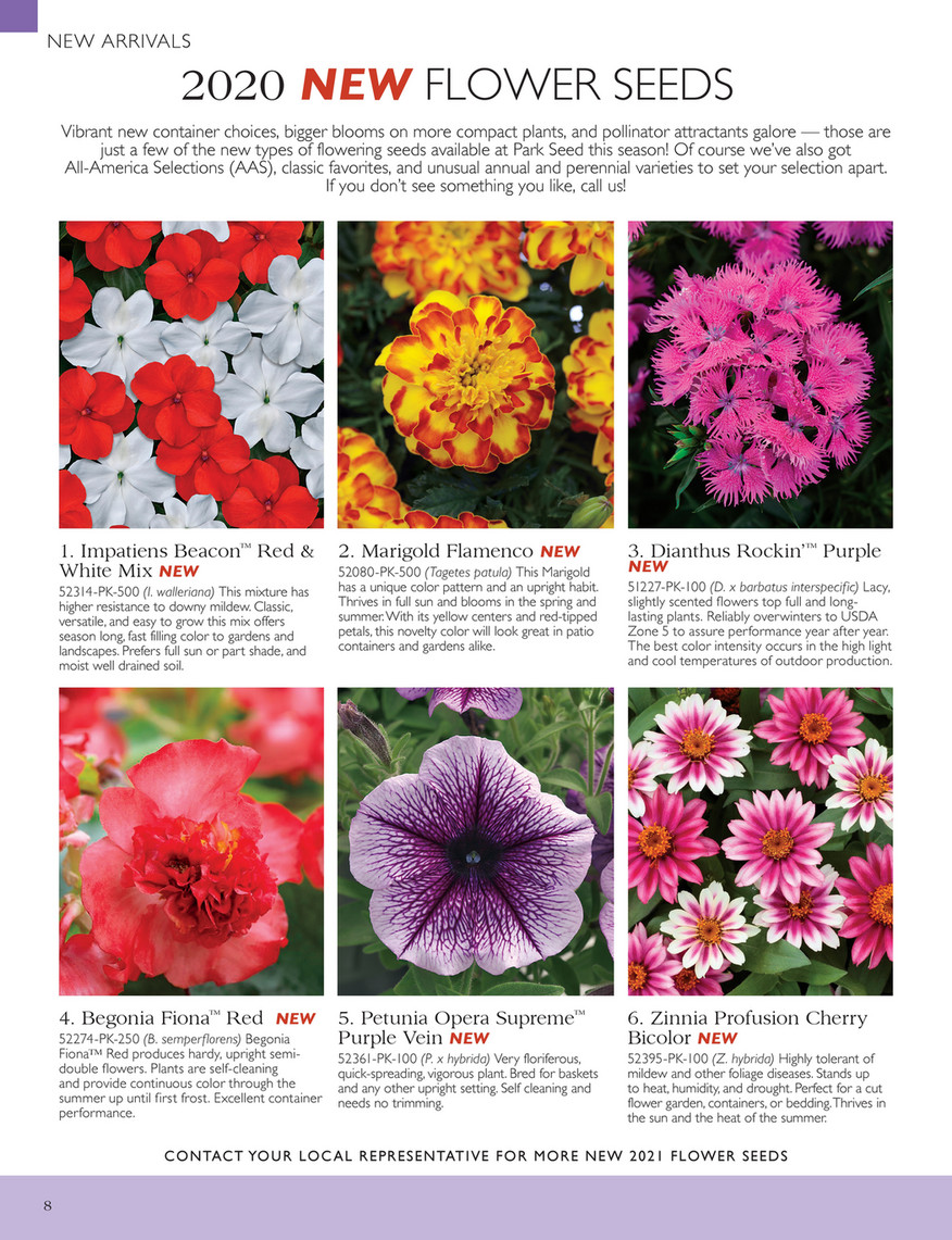 Park Seed Park Seed Wholesale Catalogue 19 Page 8 9