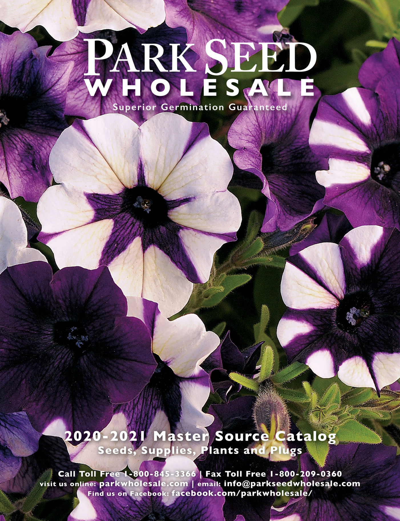 Park Seed Park Seed Wholesale Catalogue 20192020 Page 1