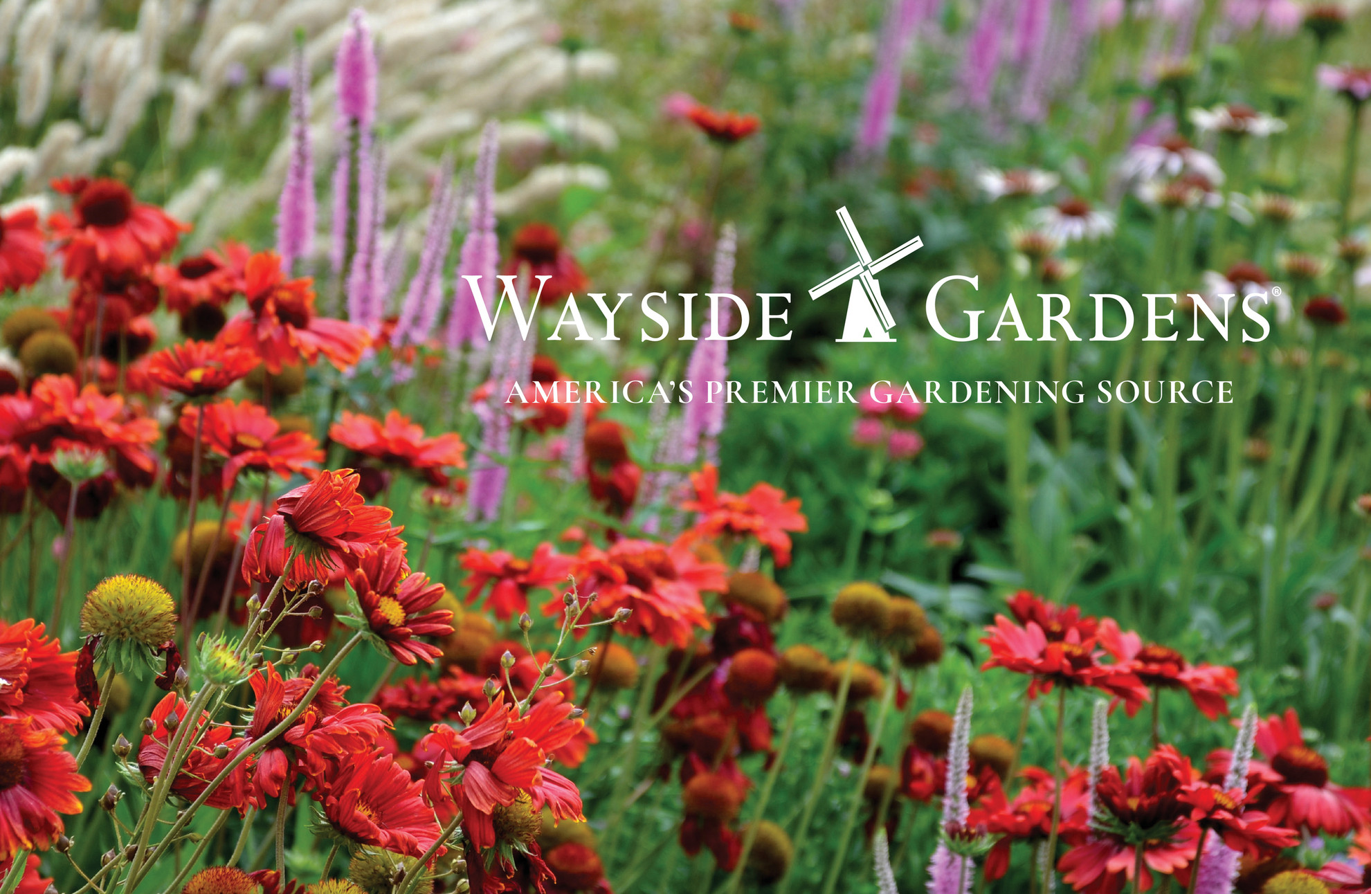 Wayside Gardens Wayside Gardens Fall Look Book Page