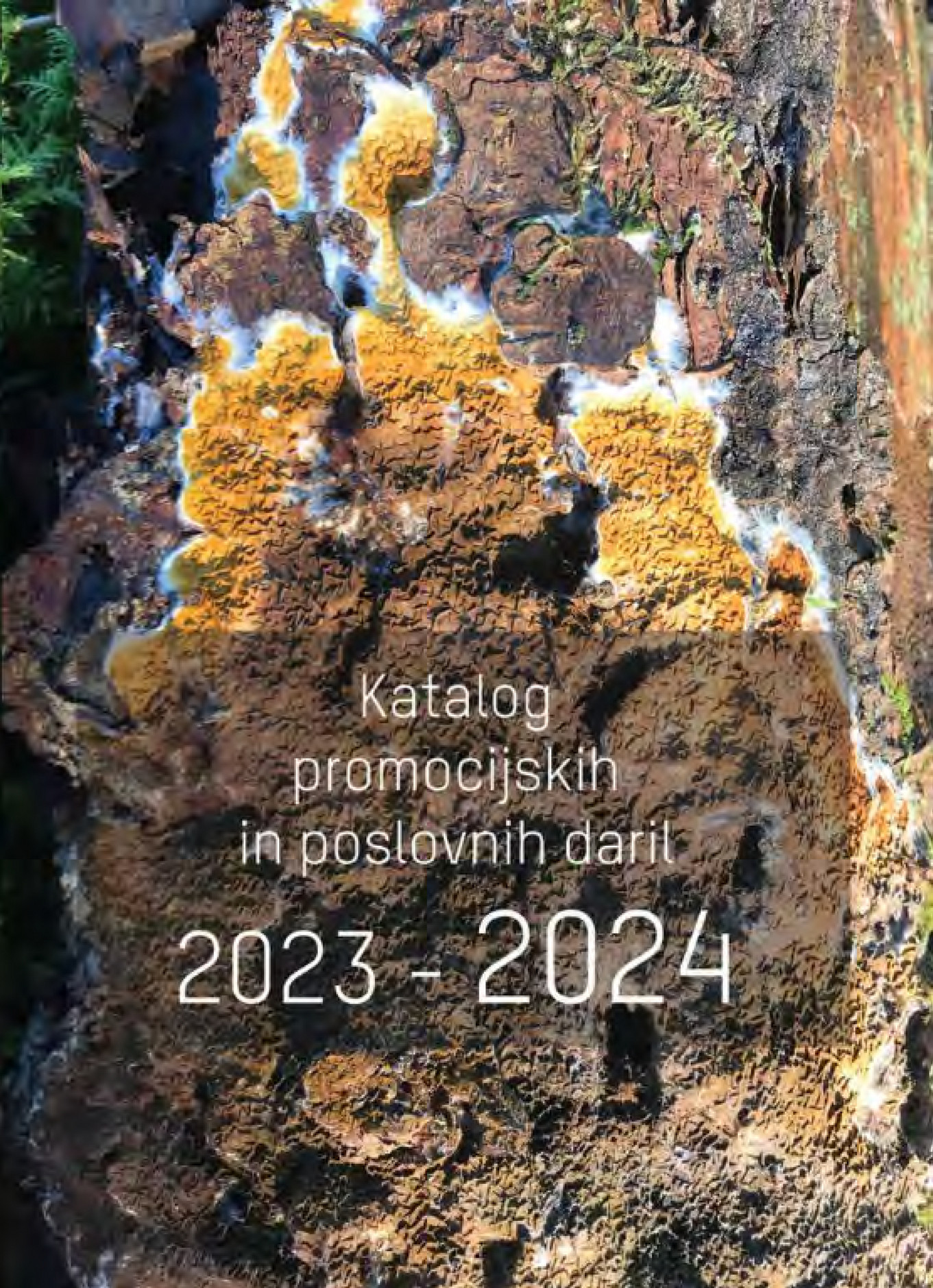 My publications NEVTRALNI KATALOG 2324 Page 1 Created with