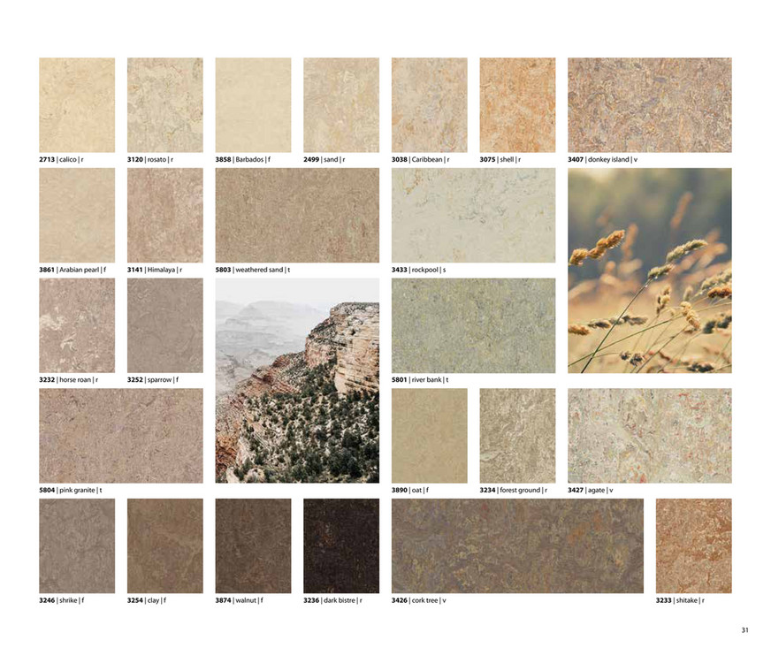 Marmoleum Brochure | Forbo Flooring Systems - Page 31