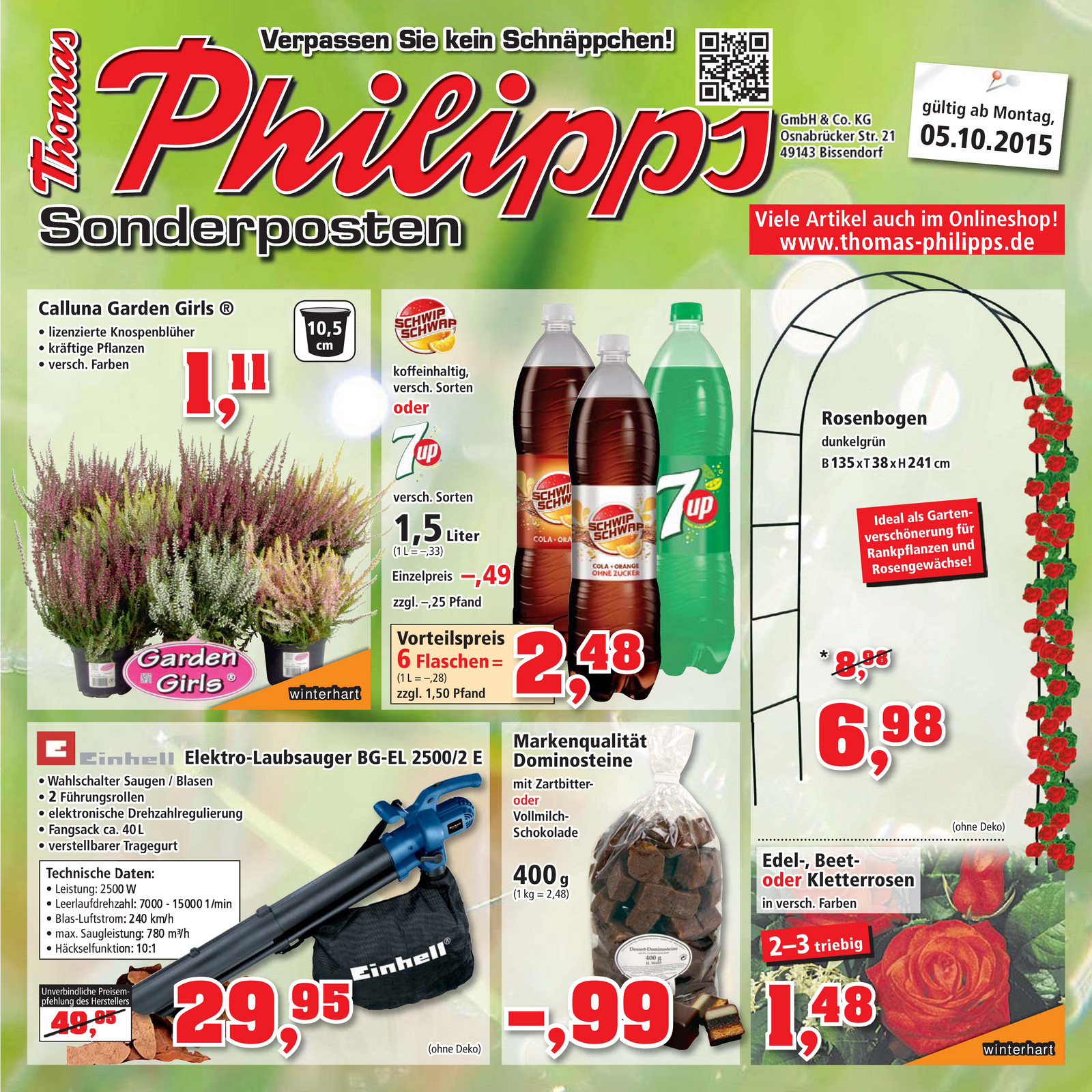 cactus pflanze Kaktus im Topf kaufen main image 0