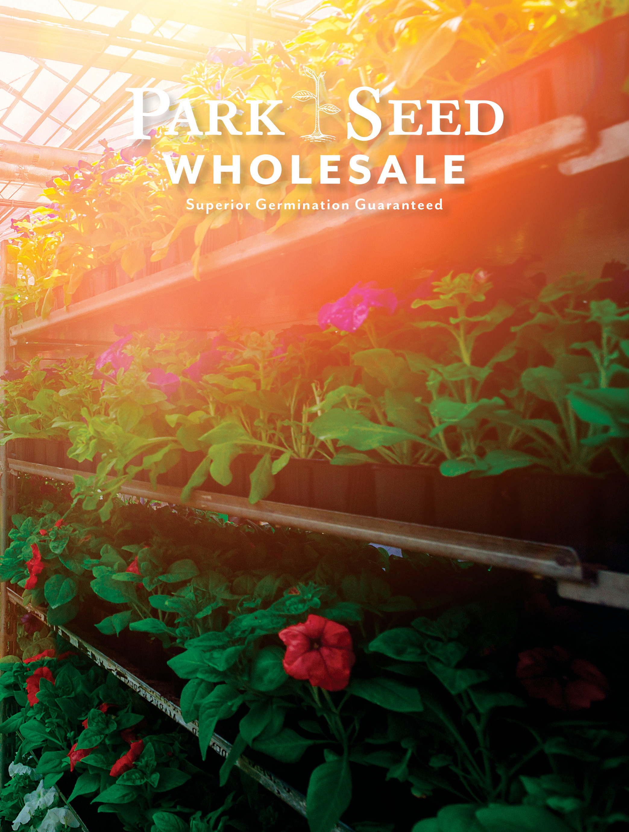 Park Seed Wholesale