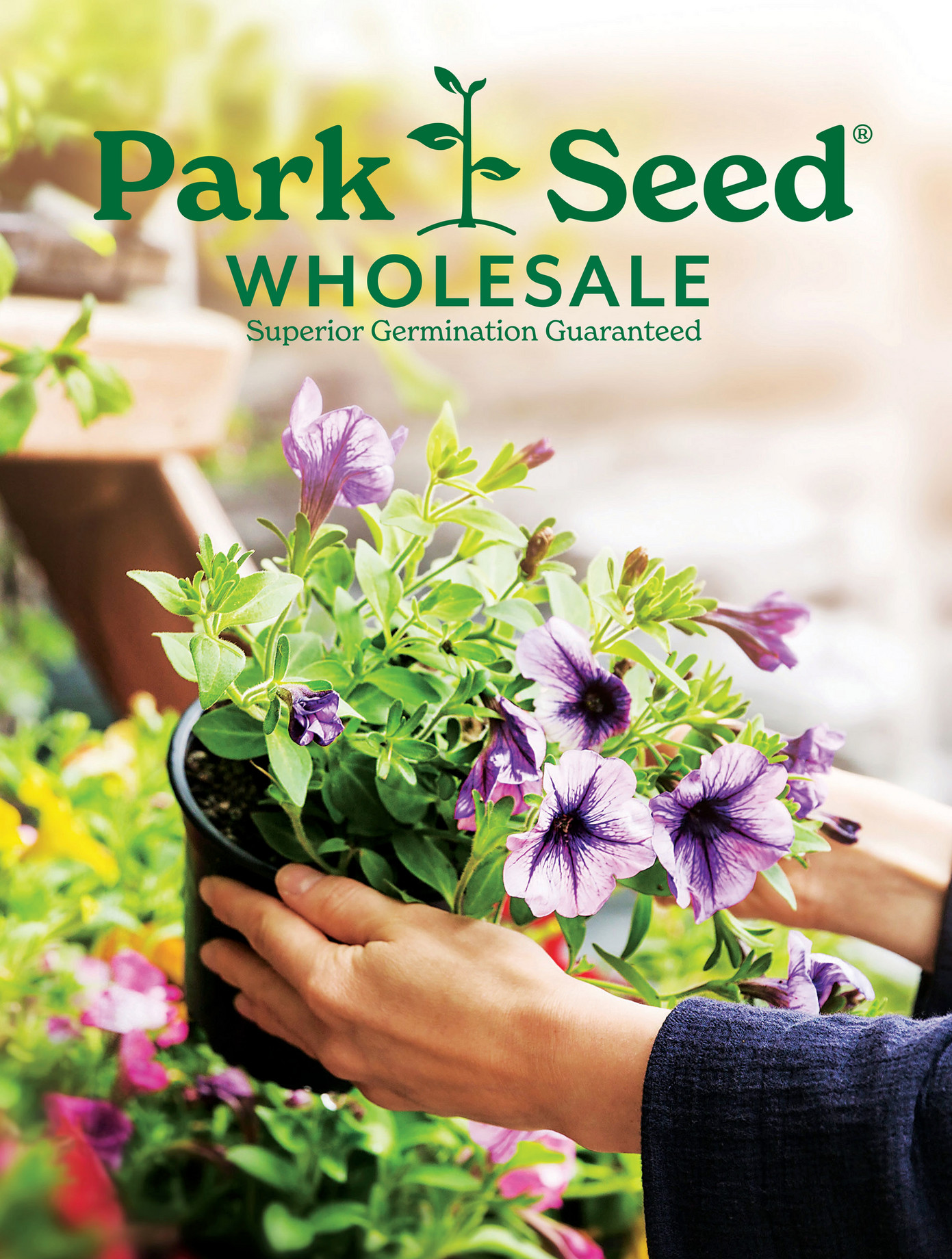 Park Seed Wholesale 2023 2024 Park Seed Wholesale Catalog Page 2 3   Ae2d6c6c 8169 49fe 885d 1bad142f9199 At1600 