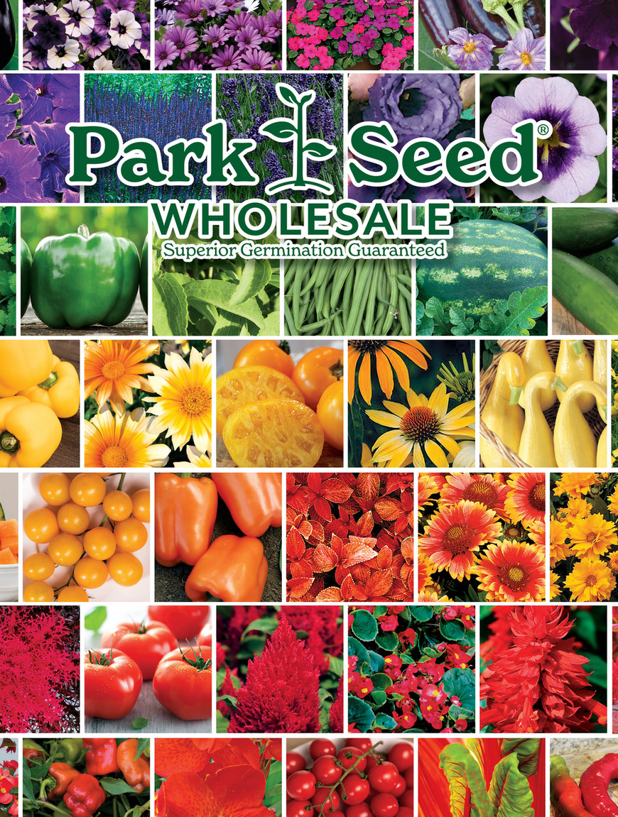 flower seed sale 1000 Piece Assorted Vegetable, Herb and Flower Seed Packet Retail POS Corrugated Display