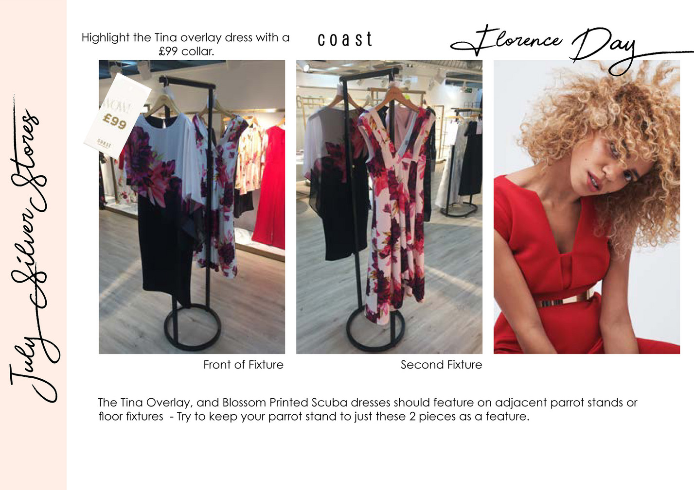 coast tina overlay dress