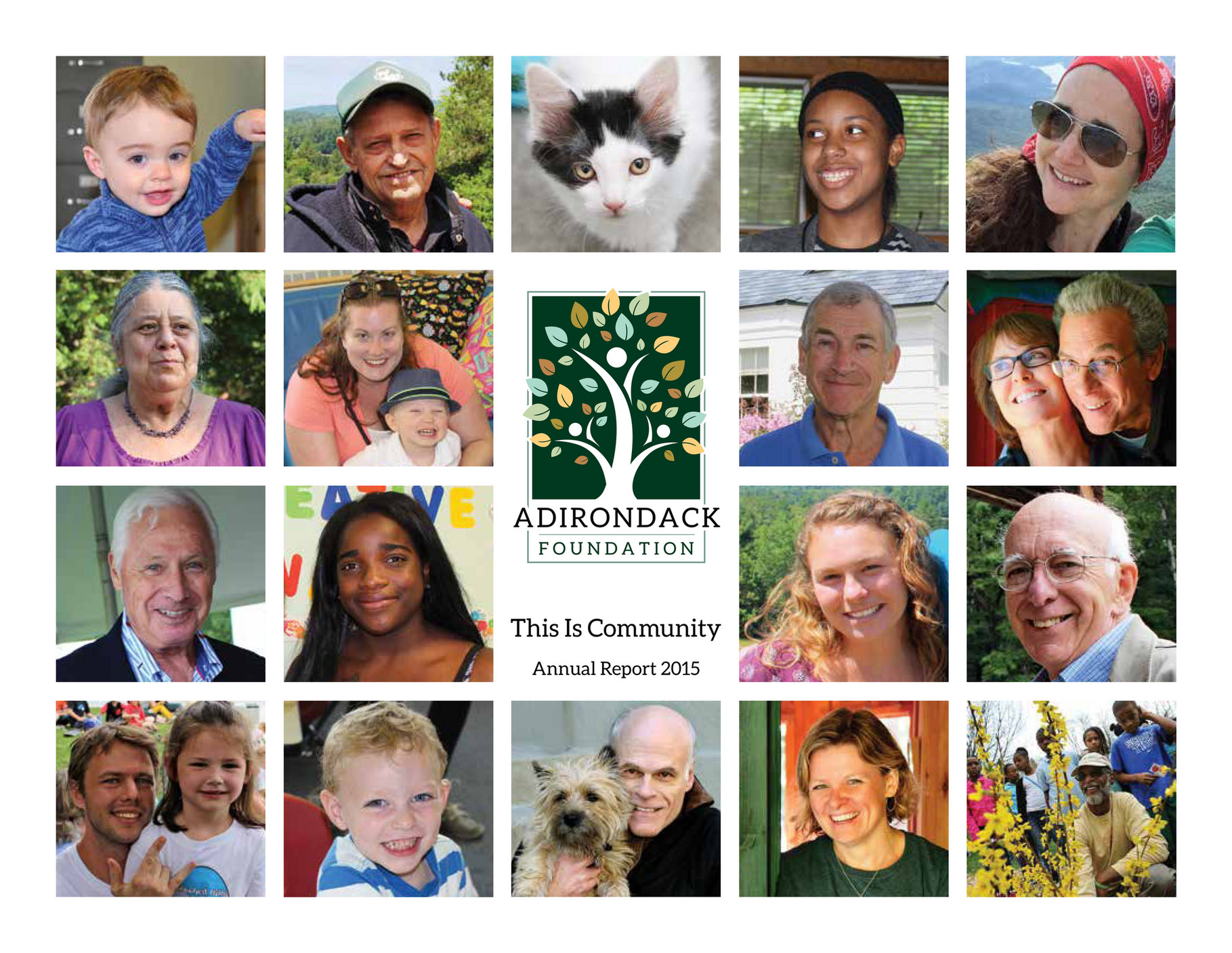 Adirondack Foundation Adirondack Foundation Annual Report 2015 Page