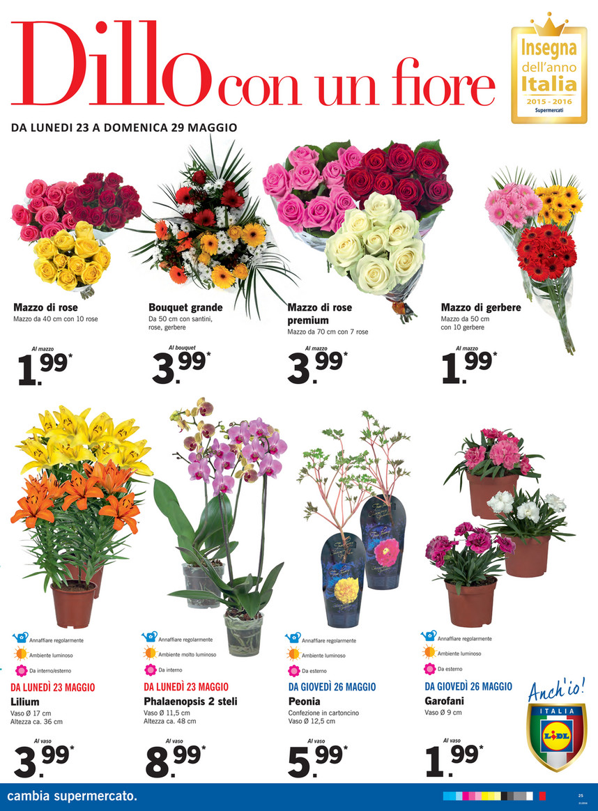 Fiori Lidl.Sp Lidl Xxl Formato Convenienza Page 24 25 Created With