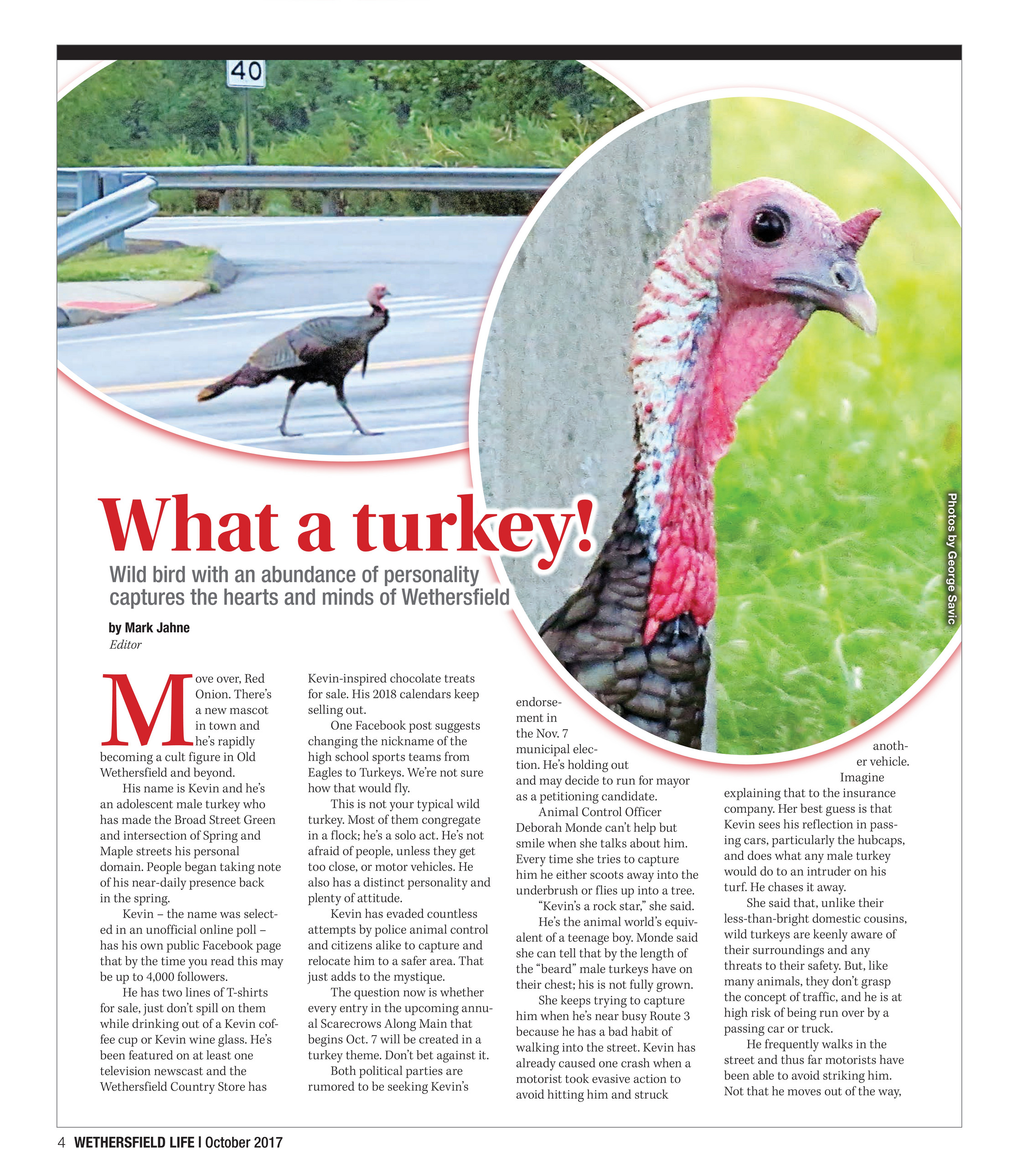 my publications wl 1017 layout page 8 9 created with publitas com