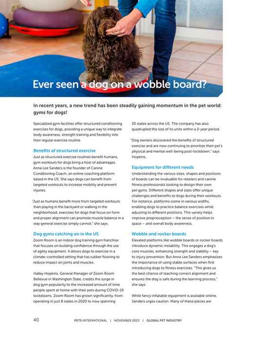 Globalpets Pets International Magazine November Page