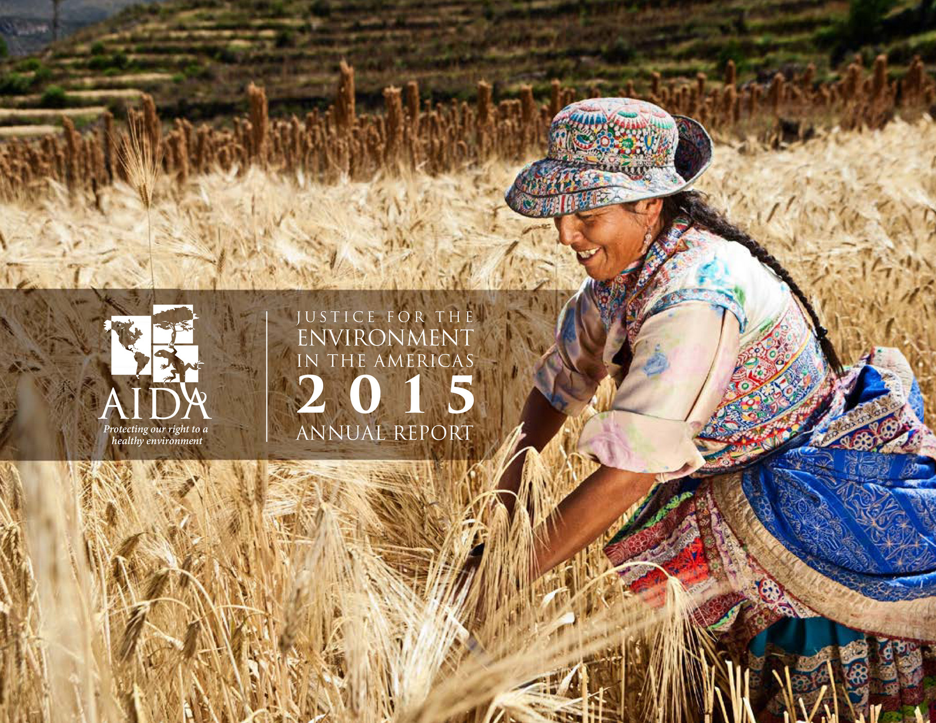  AIDA - AIDA Annual Report 2015 - Page 3 - Created with Publitas.com Motiv 