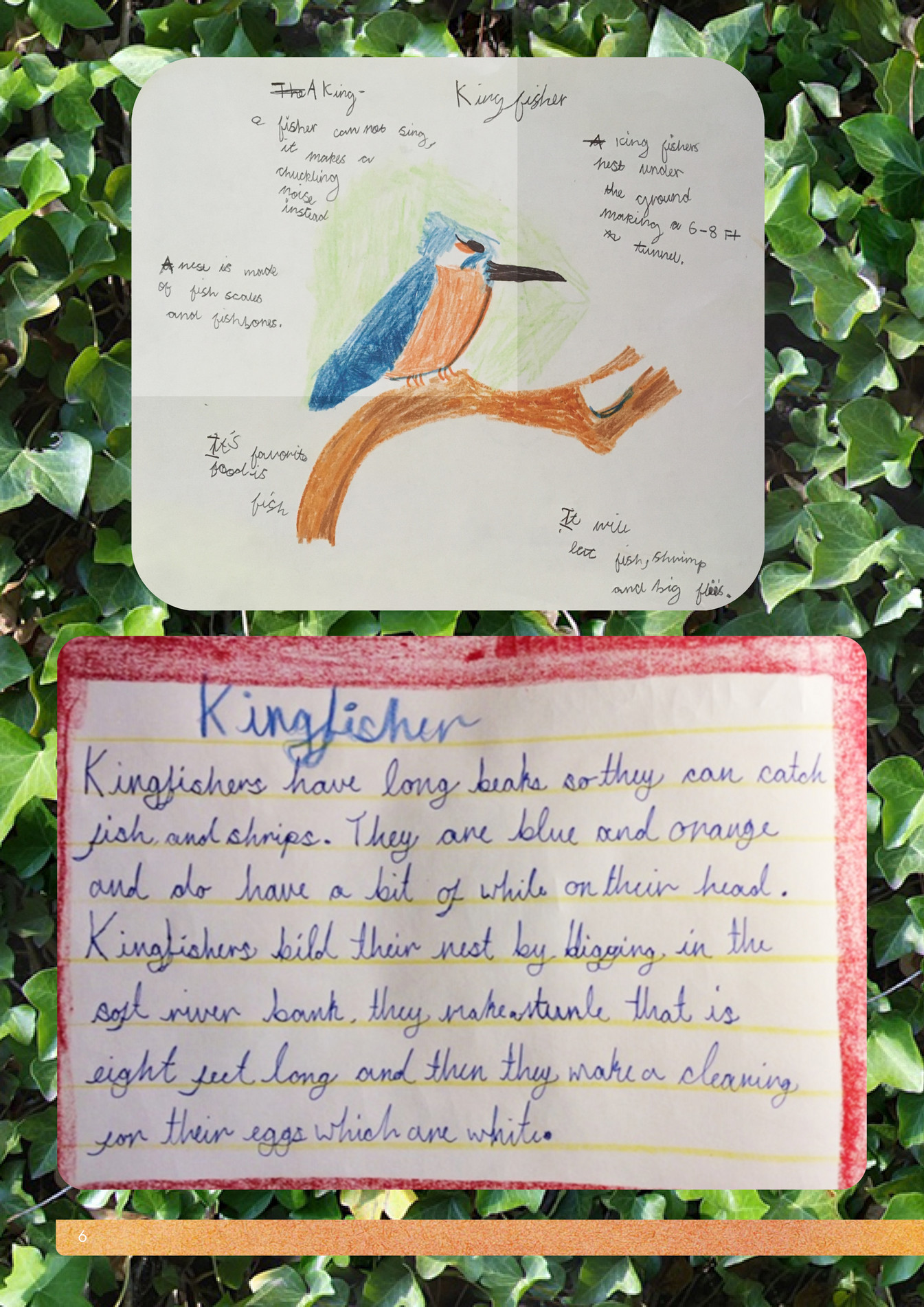 Greenwich Steiner School Newsletter 22nd May 2020 Page 6 7 Created With Publitas Com