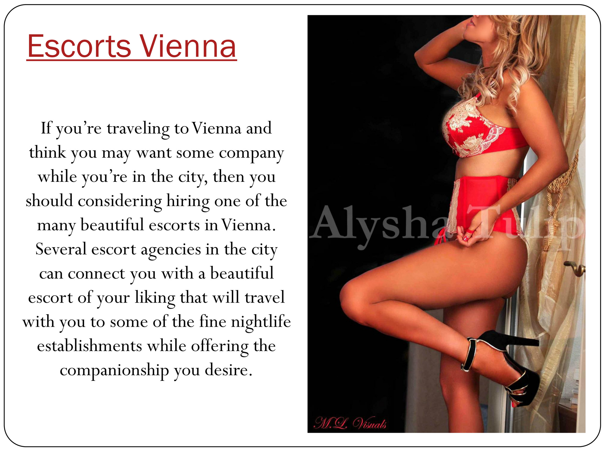 Prostitutes Vienna