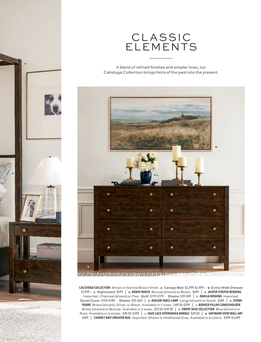 Pottery Barn - Fall 2023 - Calistoga 8-Drawer Dresser, Sienna Brown