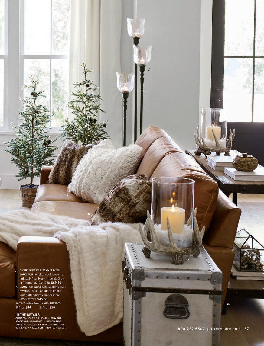 Pottery Barn Holiday 2017 D1 Kaplan Trunk Coffee Table Dusty