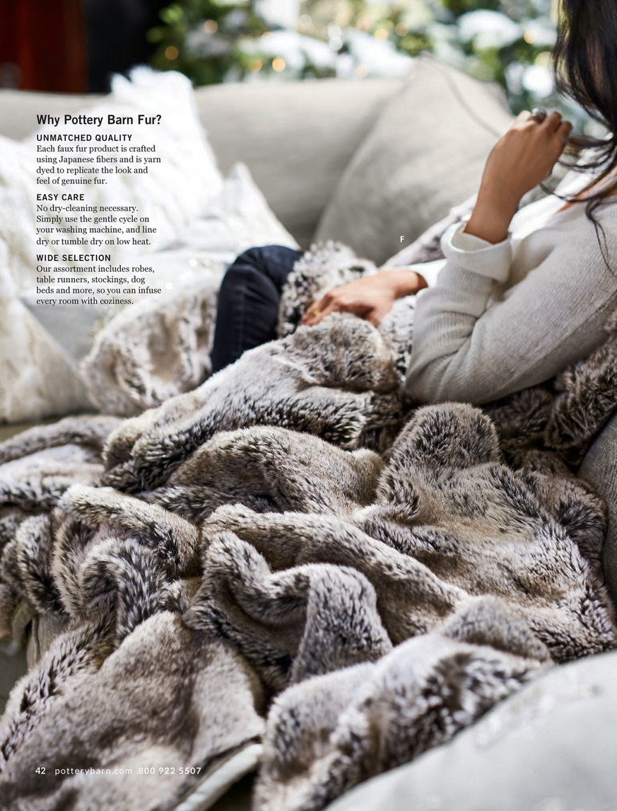 Pottery barn fur throw sale