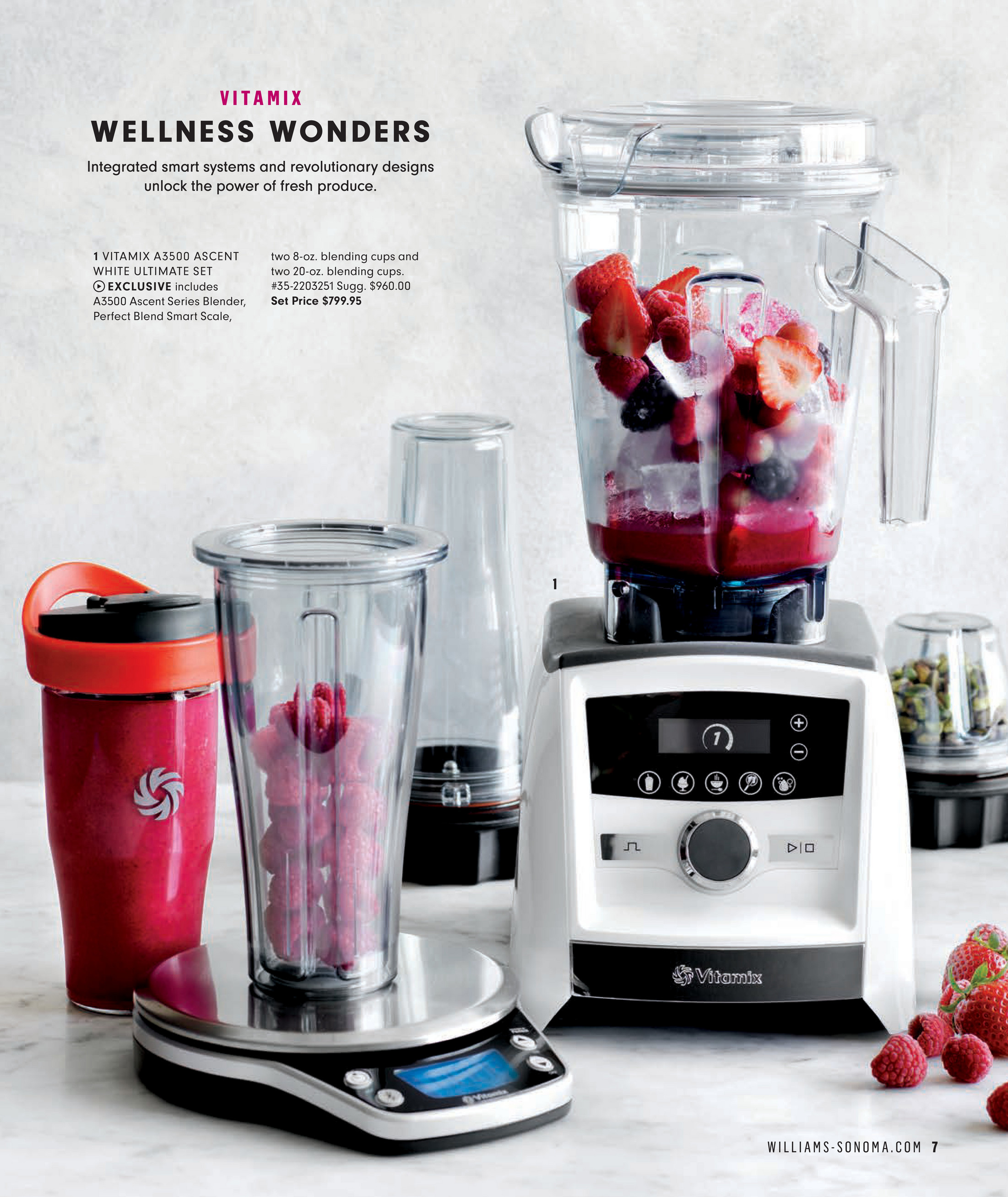 Williams-Sonoma - May 2020 - Vitamix White Ultimate Pack