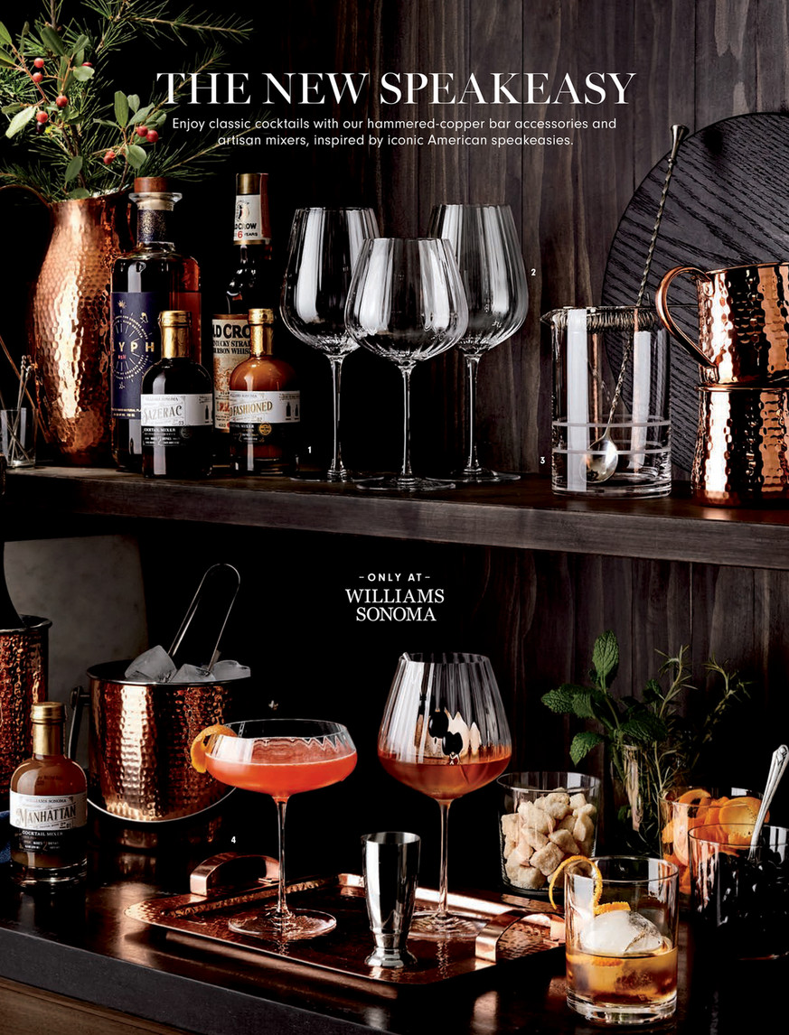 Williams Sonome Encore Bar Double Wall Cocktail Shaker