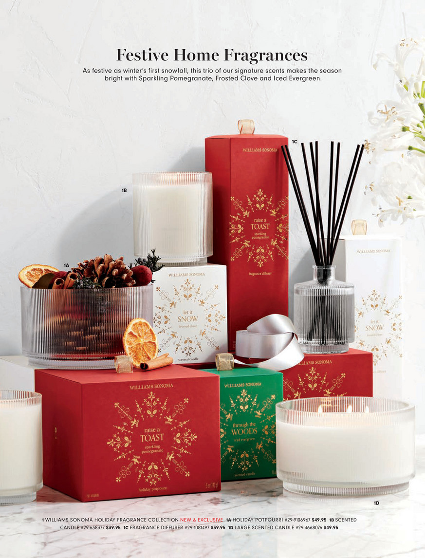 Williams-Sonoma - Holiday 2022 - Williams Sonoma Winter Forest