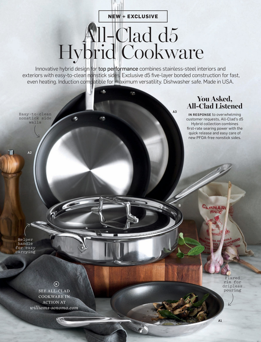 Williams-Sonoma - October 2016 Catalog - All-Clad d5 Stainless