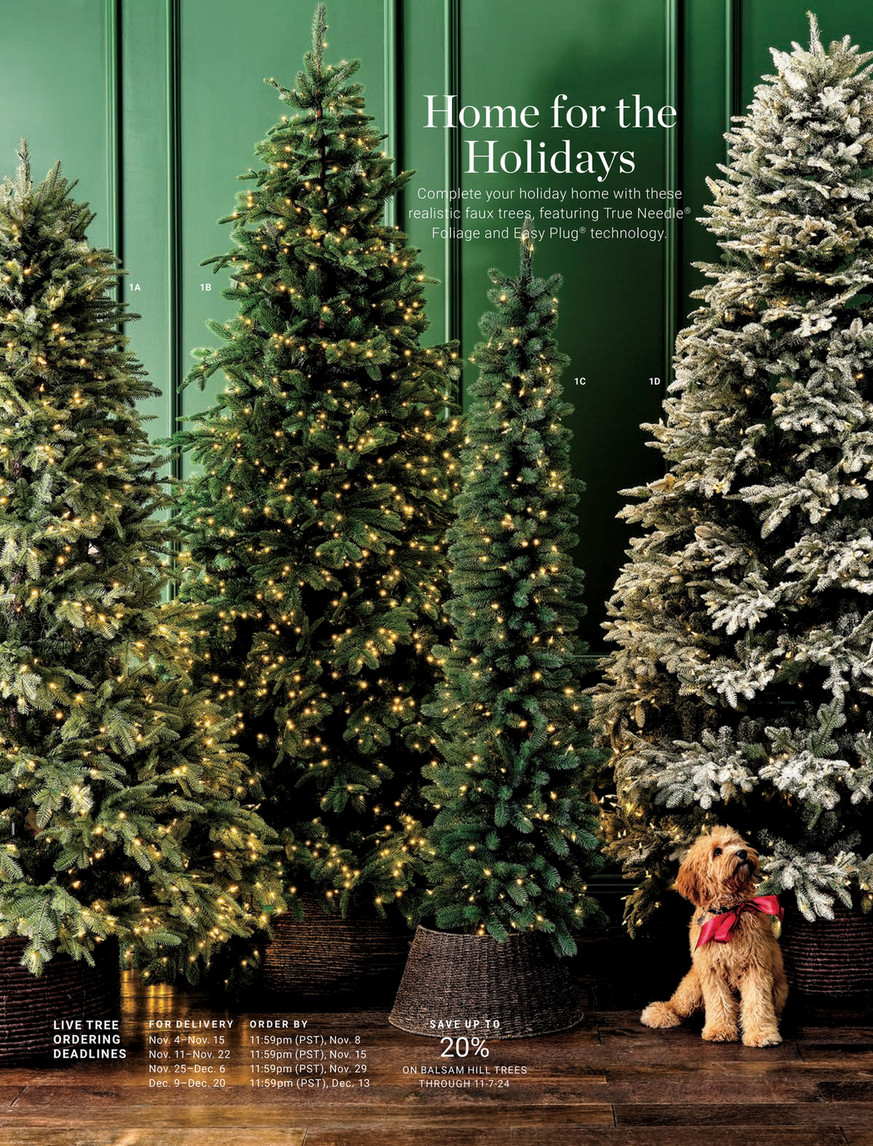 Williams-Sonoma - Holiday 2024 - Jeff Leatham Winter White Faux Williams-Sonoma - Holiday 2024 - Jeff Leatham Winter White Faux