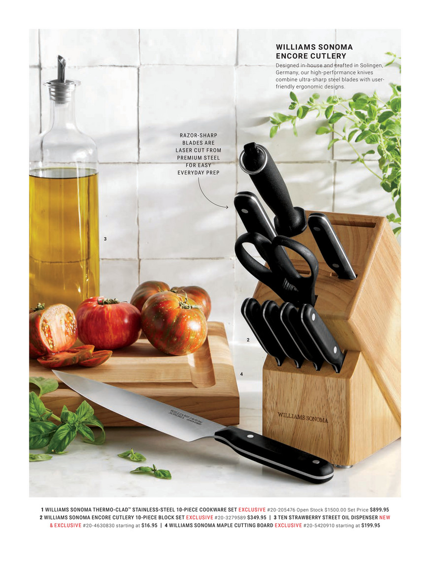Williams-Sonoma - Spring 2025 - Vitamix Ascent X5 Blender, Brushed