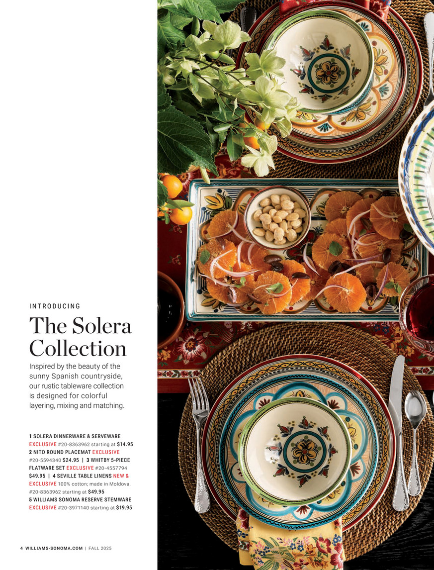 Williams-Sonoma - Fall 2025 - Solera Bowls, Set of 4