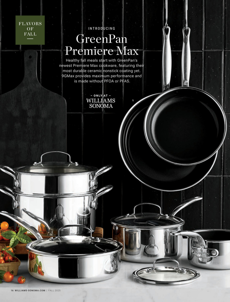 Williams-Sonoma - Fall 2025 - GreenPan Premiere Stainless-Steel