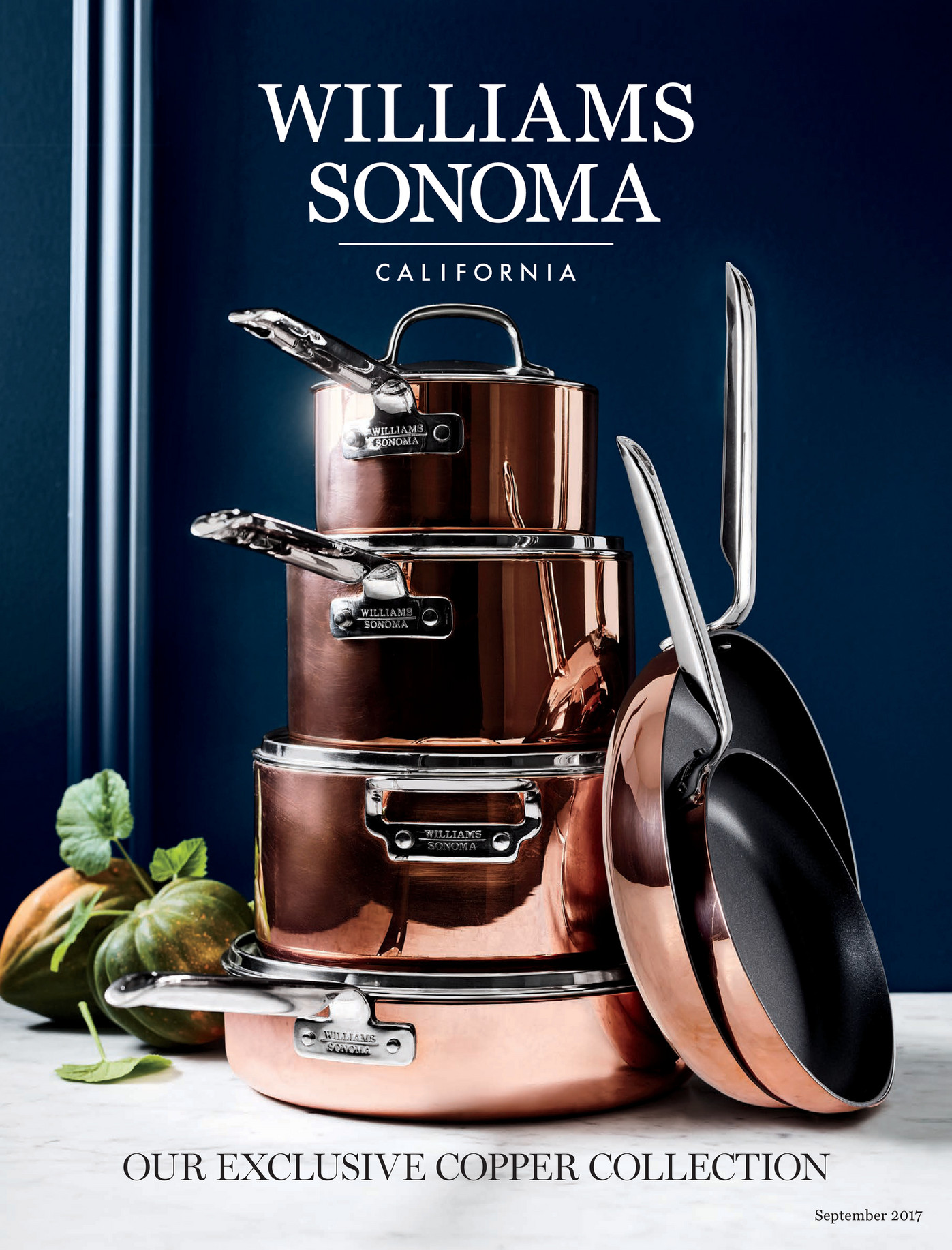 WilliamsSonoma Fall 2 2017 Catalog Page 1