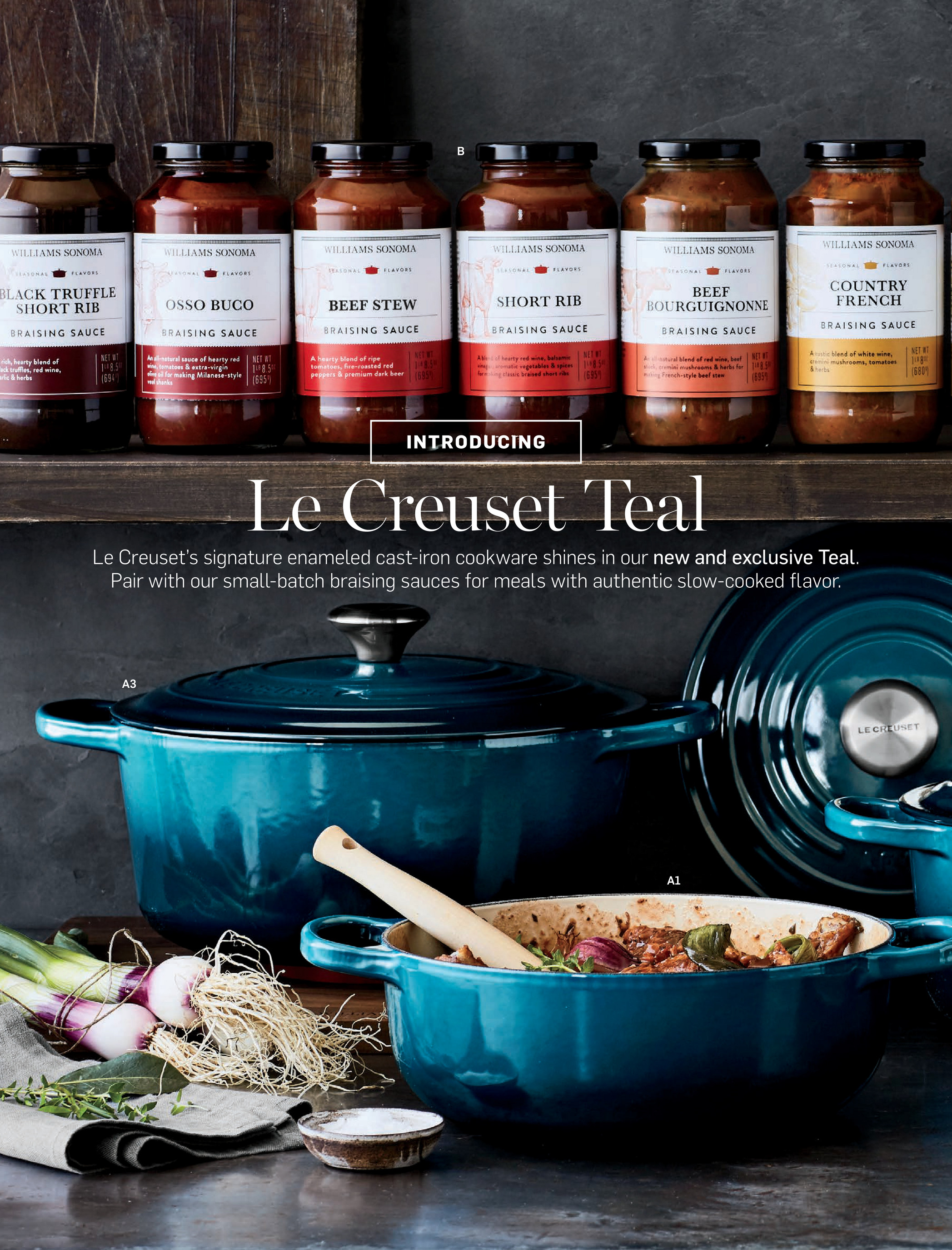 Williams-Sonoma - Fall 2 2017 Catalog - Piral Terra-Cotta Fish Baker, Red