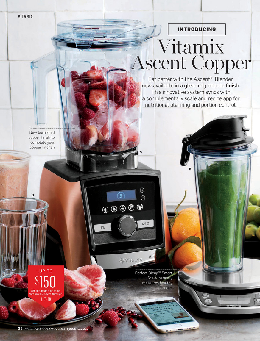 Vitamix perfect shop blend scale