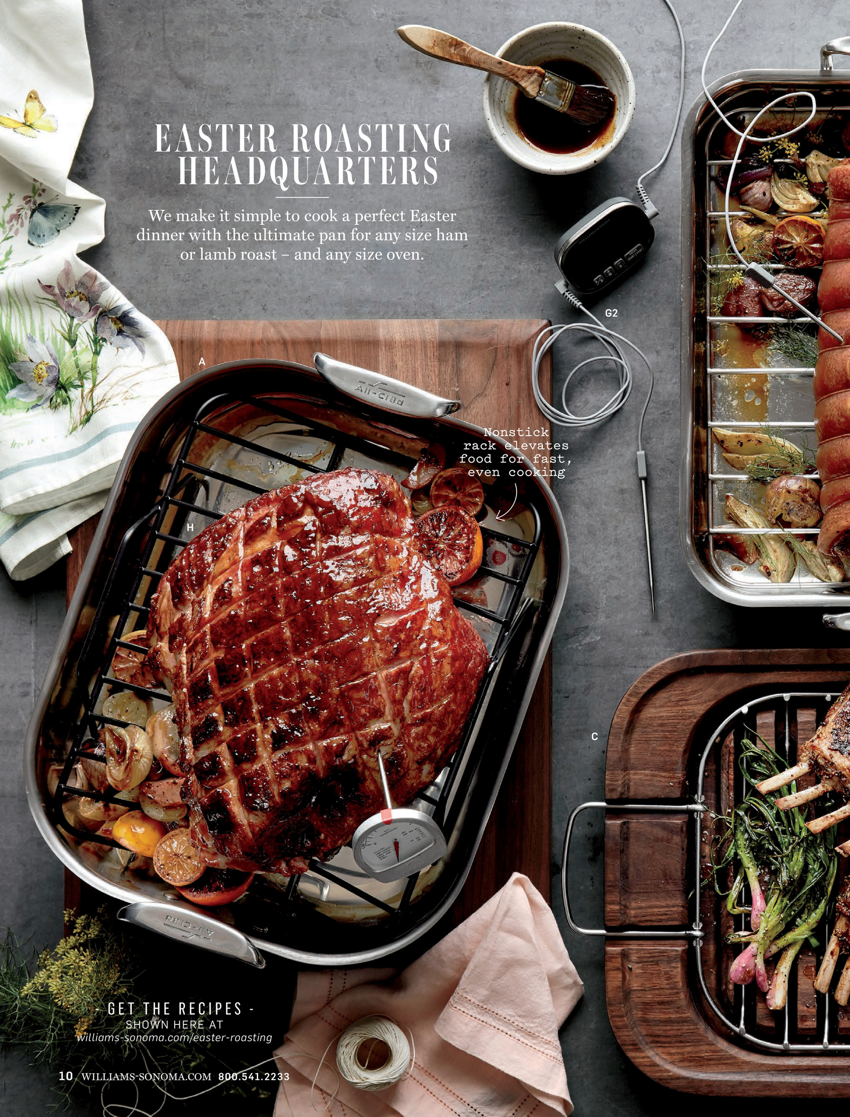 Williams Sonoma All-Clad Professional Roast Lifters