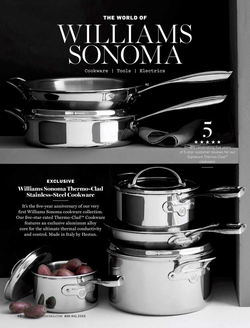 Williams-Sonoma Stainless Steel Thermo-Clad Review